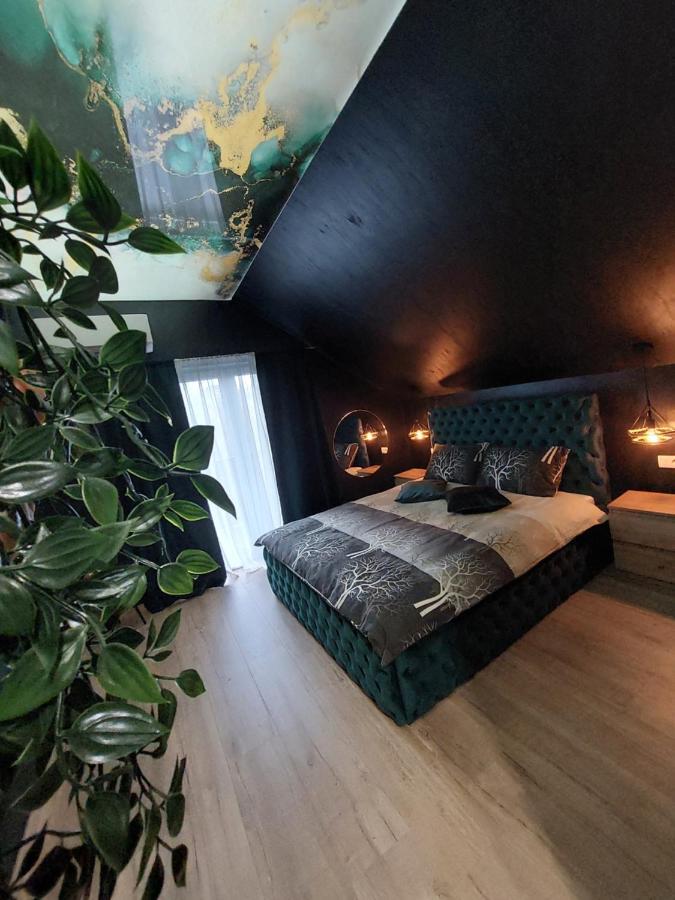 Stars Lux Room ベオグラード 部屋 写真