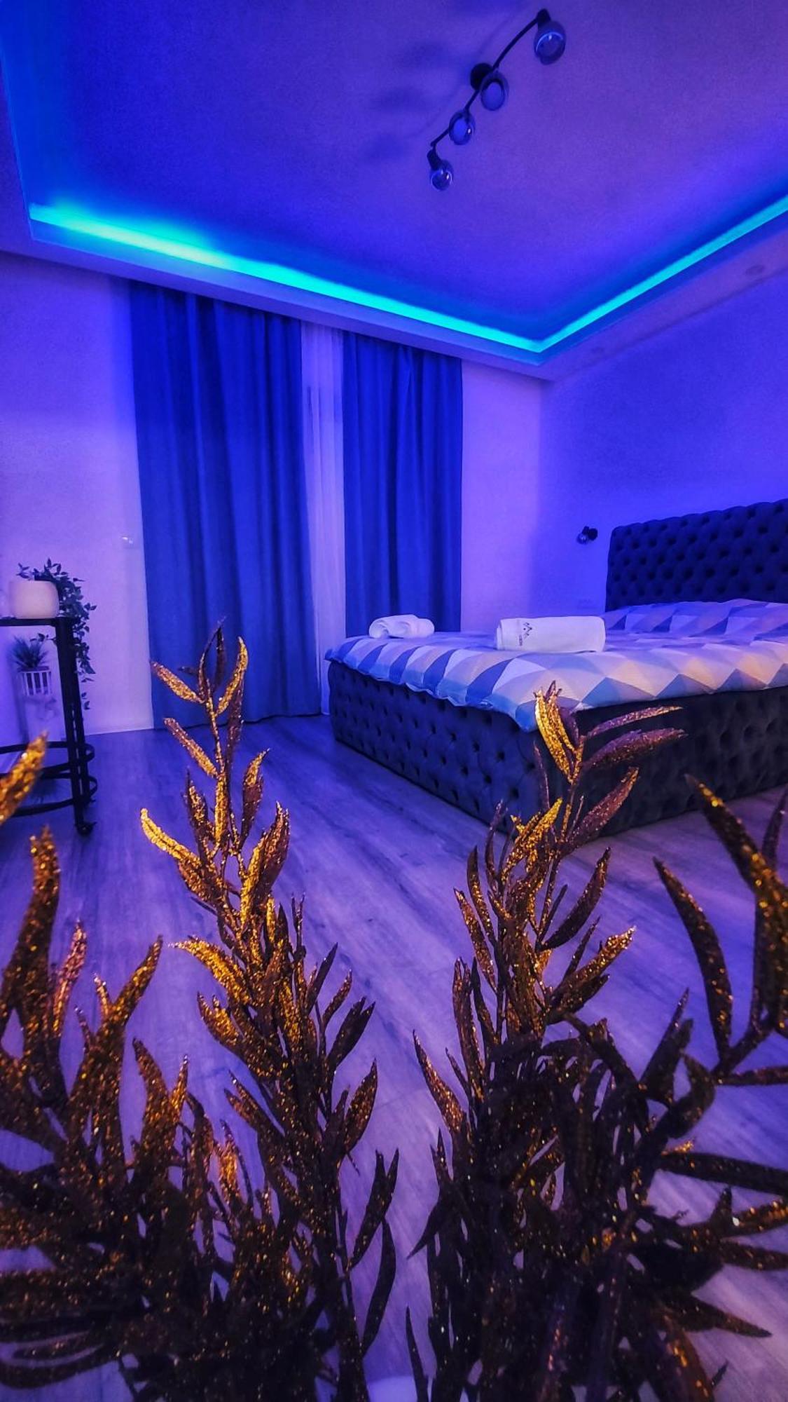 Stars Lux Room ベオグラード 部屋 写真