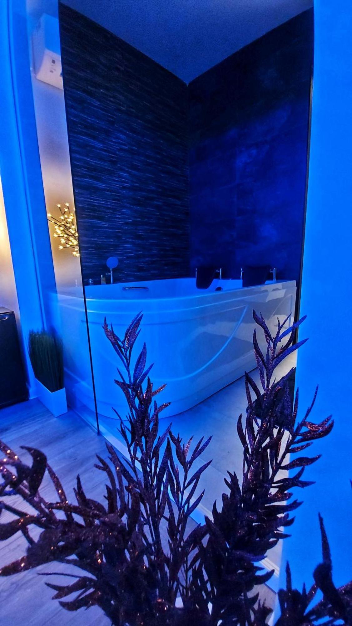 Stars Lux Room ベオグラード 部屋 写真